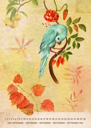 عکس با کیفیت نقاشی پرنده آبی